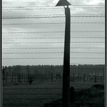 AUSCHWITZ II Birkenau